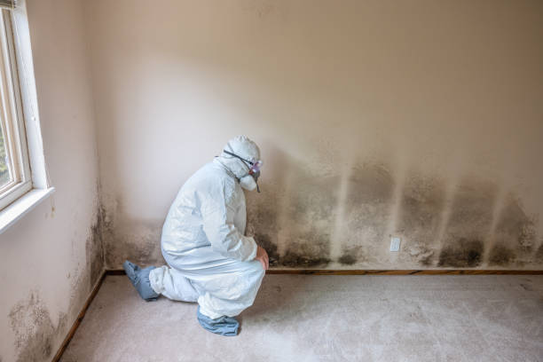 Forensic Mold Investigation in Sheridan, AR